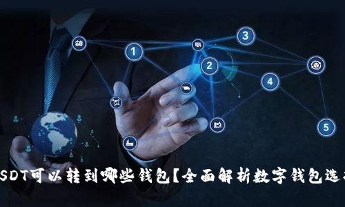 USDT可以转到哪些钱包？全面解析数字钱包选择