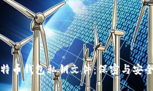 全面解析比特币钱包私钥文件：保密与安全并存的挑战