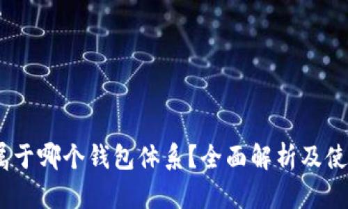 USDT属于哪个钱包体系？全面解析及使用指南