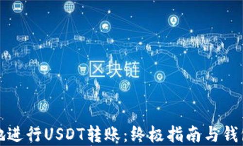 
如何安全地进行USDT转账：终极指南与钱包地址图解