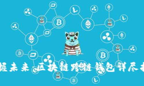 掌握未来：区块链跨链钱包详尽指南