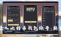 如何正确输入比特币钱包账号：新手必看指南