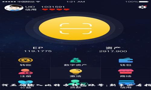 如何正确输入比特币钱包账号：新手必看指南