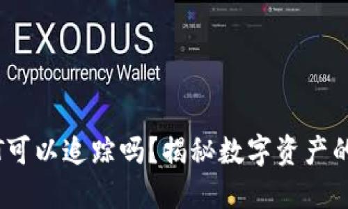 IM钱包里的USDT可以追踪吗？揭秘数字资产的透明性与安全性