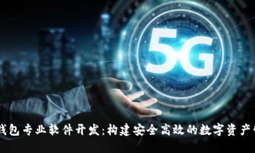 区块链钱包专业软件开发：构建安全高效的数字资产管理平台