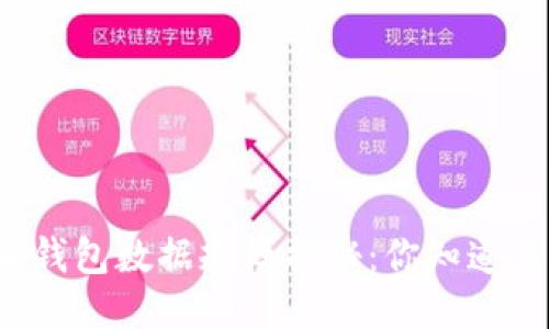 比特币钱包数据规模揭秘：你知道多大吗？