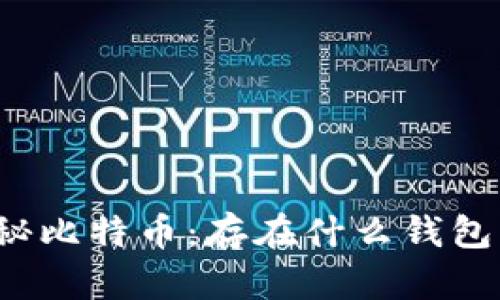 揭秘比特币：存在什么钱包里？