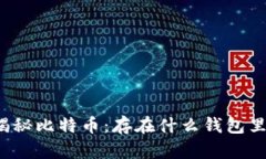 揭秘比特币：存在什么钱包里？