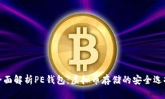 全面解析PE钱包：虚拟币存储的安全选择