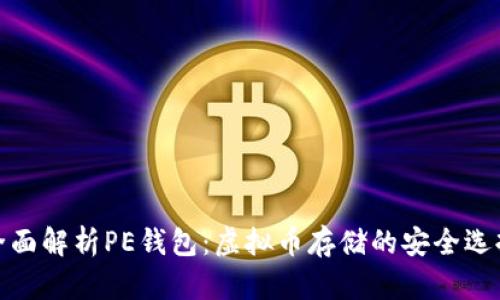 全面解析PE钱包：虚拟币存储的安全选择