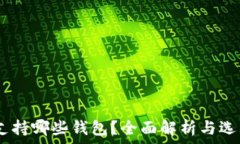   USDT支持哪些钱包？全面解析与选购指南