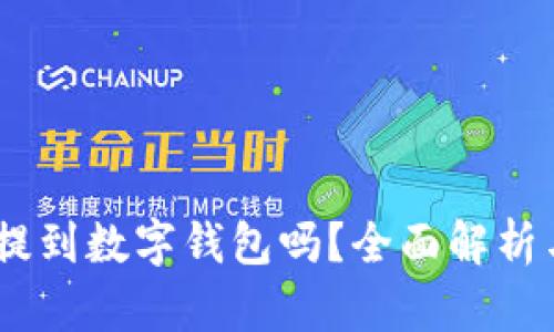 USDT可以提到数字钱包吗？全面解析与流程指南