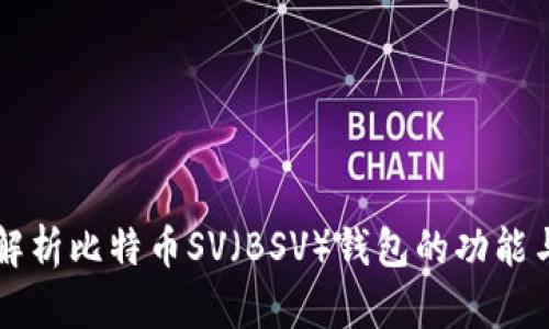 深入解析比特币SV（BSV）钱包的功能与特点