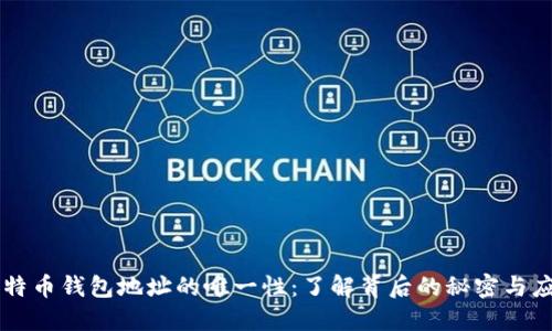 比特币钱包地址的唯一性：了解背后的秘密与应用