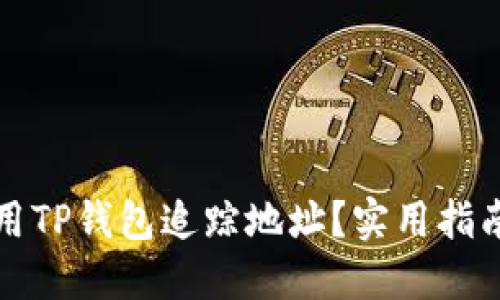 如何使用TP钱包追踪地址？实用指南与技巧