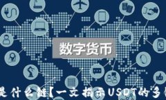 TP钱包中的USDT是什么链？一文揭示USDT的多链支持
