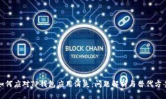 如何应对TP钱包应用消失：问题解析与替代方案