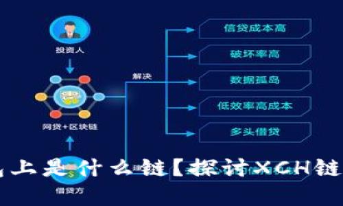  xch在TP钱包上是什么链？探讨XCH链的特点与应用