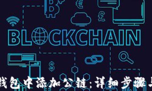 
如何在TP钱包中添加公链：详细步骤与实用技巧