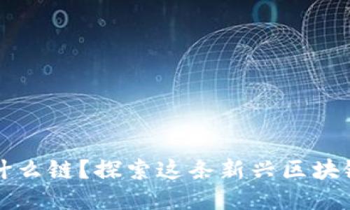 TP钱包马蹄是什么链？探索这条新兴区块链的潜力与应用