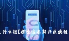 TP钱包马蹄是什么链？探索这条新兴区块链的潜力