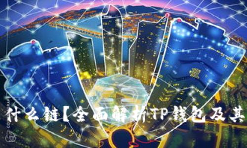 TP钱包是什么链？全面解析TP钱包及其生态系统