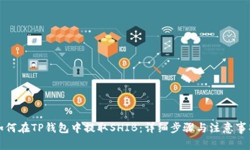 如何在TP钱包中提取SHIB：详细步骤与注意事项