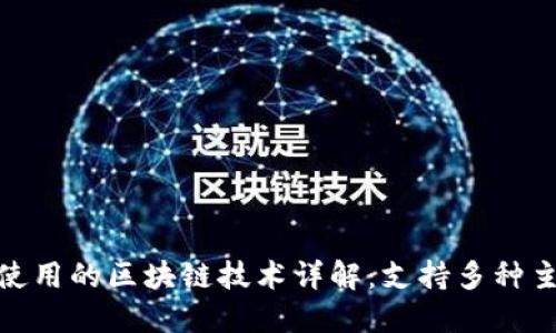 TP钱包使用的区块链技术详解：支持多种主流公链