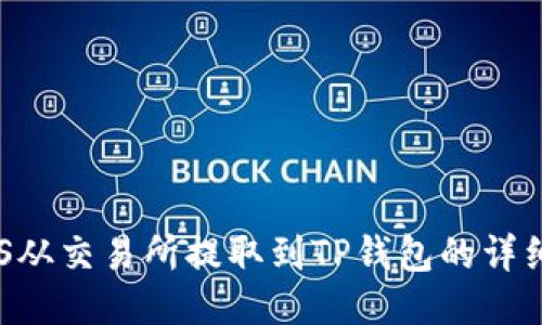 如何将EOS从交易所提取到TP钱包的详细步骤指南