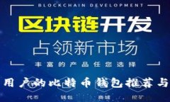 适合中国用户的比特币钱包推荐与使用指南