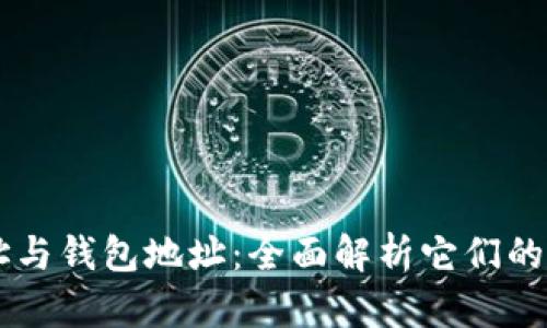 区块链地址与钱包地址：全面解析它们的区别与联系