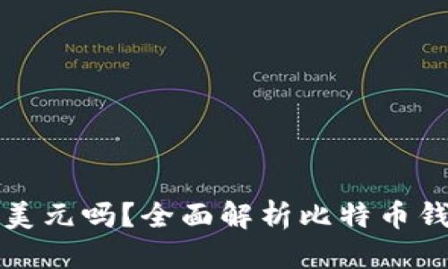 思考一个的优质

比特币钱包能存美元吗？全面解析比特币钱包的功能与限制