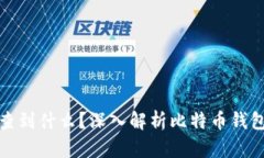 比特币钱包能查到什么？深入解析比特币钱包的