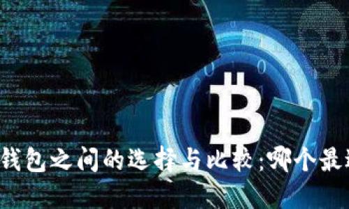 比特币钱包之间的选择与比较：哪个最适合您？
