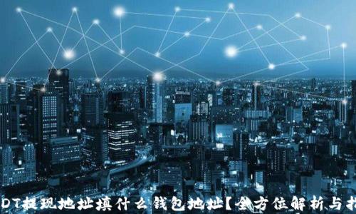 
USDT提现地址填什么钱包地址？全方位解析与指南