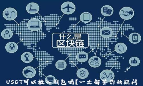 
USDT可以放入钱包吗？一文解答你的疑问