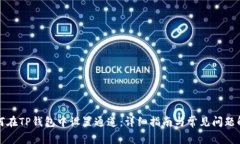 如何在TP钱包中设置通道：详细指南与常见问题解