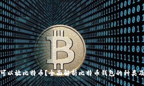 哪些钱包可以放比特币？全面解析比特币钱包的种类及选择技巧