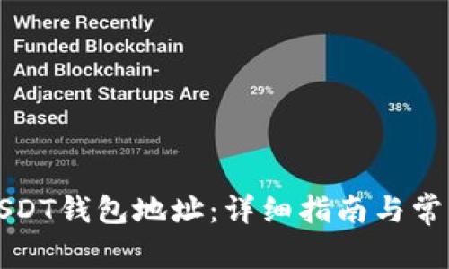 如何设置USDT钱包地址：详细指南与常见问题解答