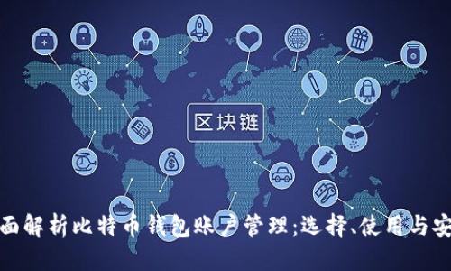 全面解析比特币钱包账户管理：选择、使用与安全